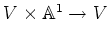 $ V\times {\Bbb A}^1\to V$