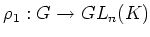 $ \rho_1:G\to GL_n(K)$