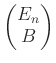 $\displaystyle \begin{pmatrix}
E_n \\
B
\end{pmatrix}$