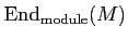 $\displaystyle \operatorname{End}_{\operatorname{module}}(M)
$